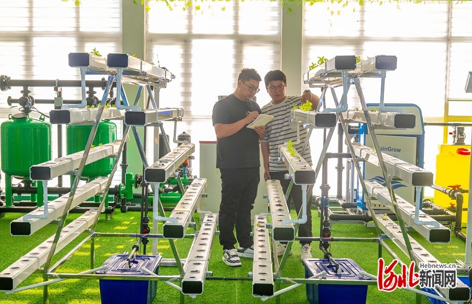 近日,，在秦皇島小馬物聯(lián)網(wǎng)科技有限公司展廳，工作人員在商討如何進(jìn)行產(chǎn)品優(yōu)化,。  河北日?qǐng)?bào)記者 趙杰攝.jpg